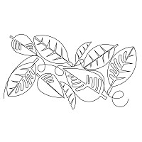 african leaves e2e 003